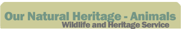 Natural Heritage Program - Wildlife and Heritage Service