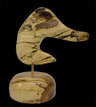 Duck head by Earl M. Brinton